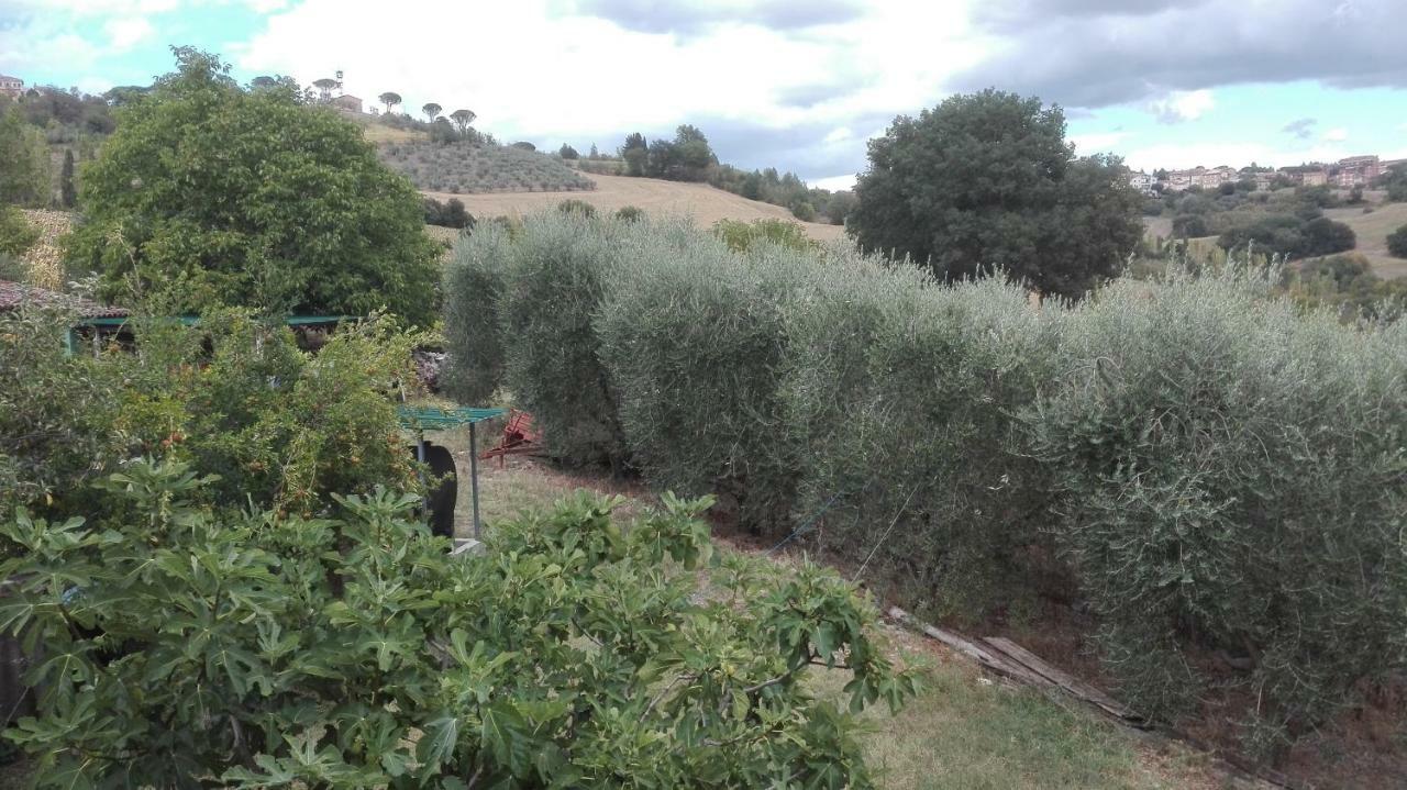 Agriturismo Cerquaglia Villa Todi Exterior foto